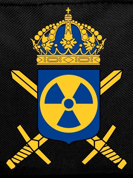 The Swedish Nuclear Weapons Programme