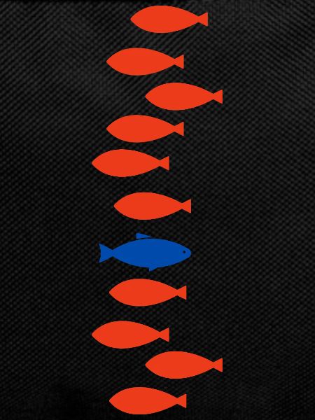 Single Fish