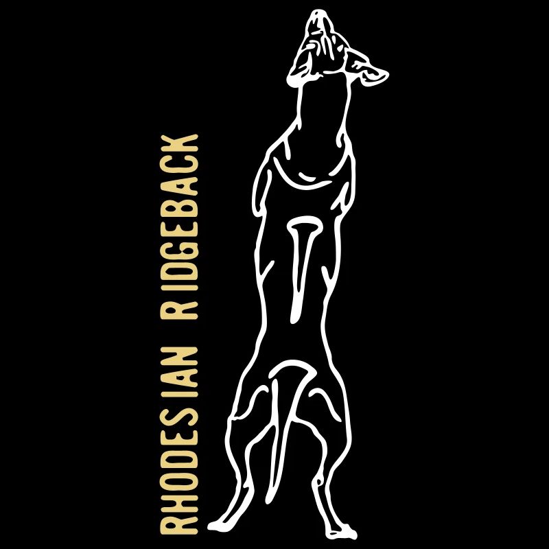 Rhodesian Ridgeback back