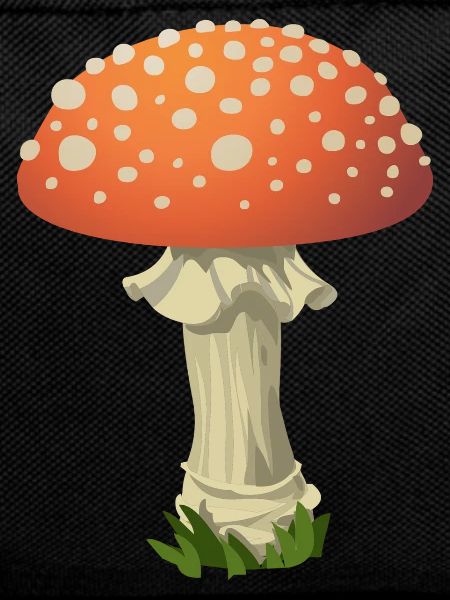 Toadstool