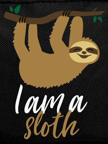 Partner Shirt Sloth Him