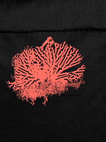 coral pattern