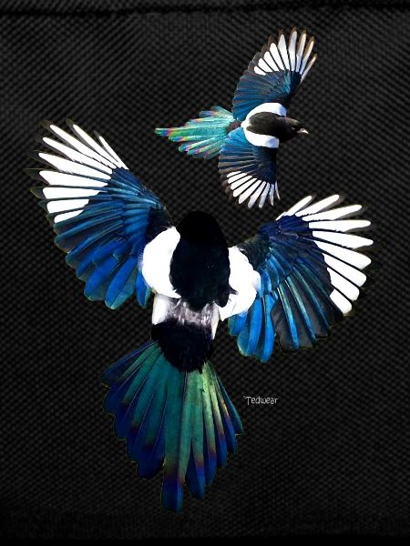 Magpies