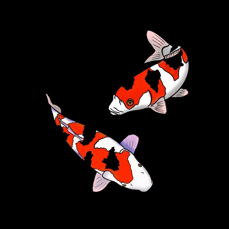 Koi carps