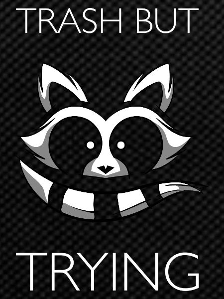 Raccoon Racoon Funny Saying Gift
