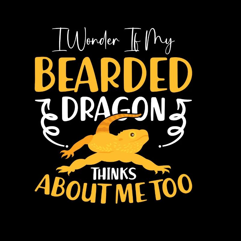 Bearded dragon