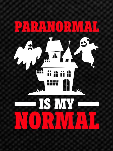 Paranormal Investigator Ghostbusters