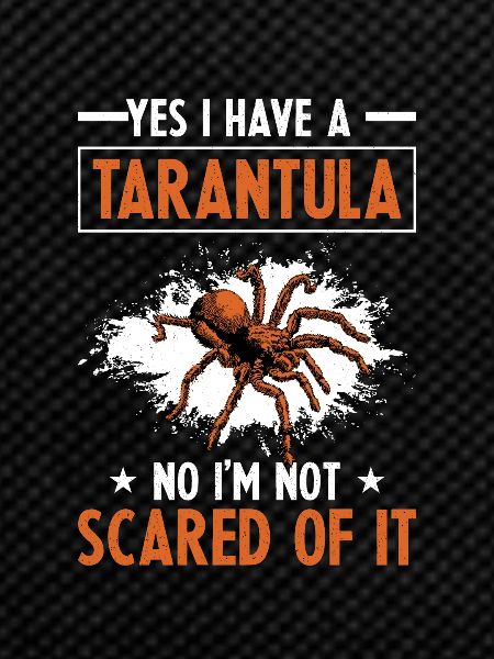 Spider Lovers Tarantula Owners