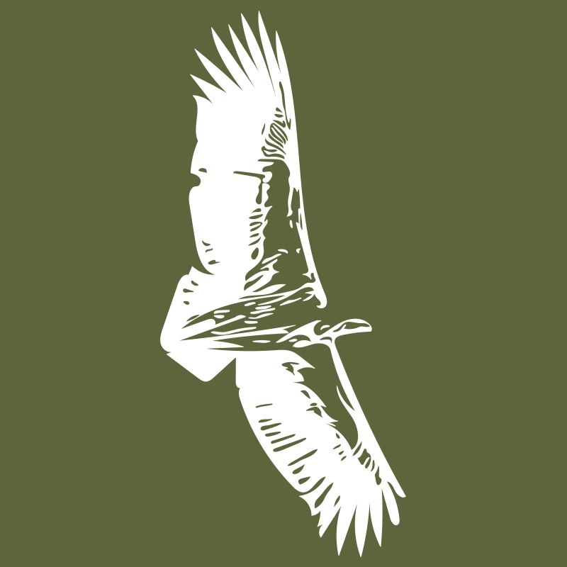 Vulture in flight
