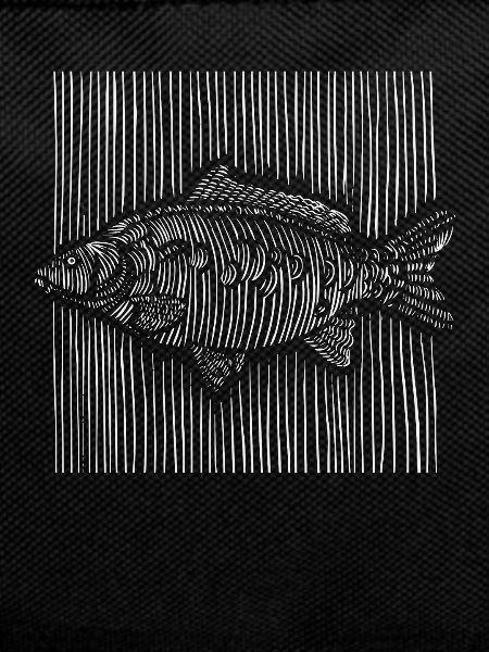 3D Lines Carp