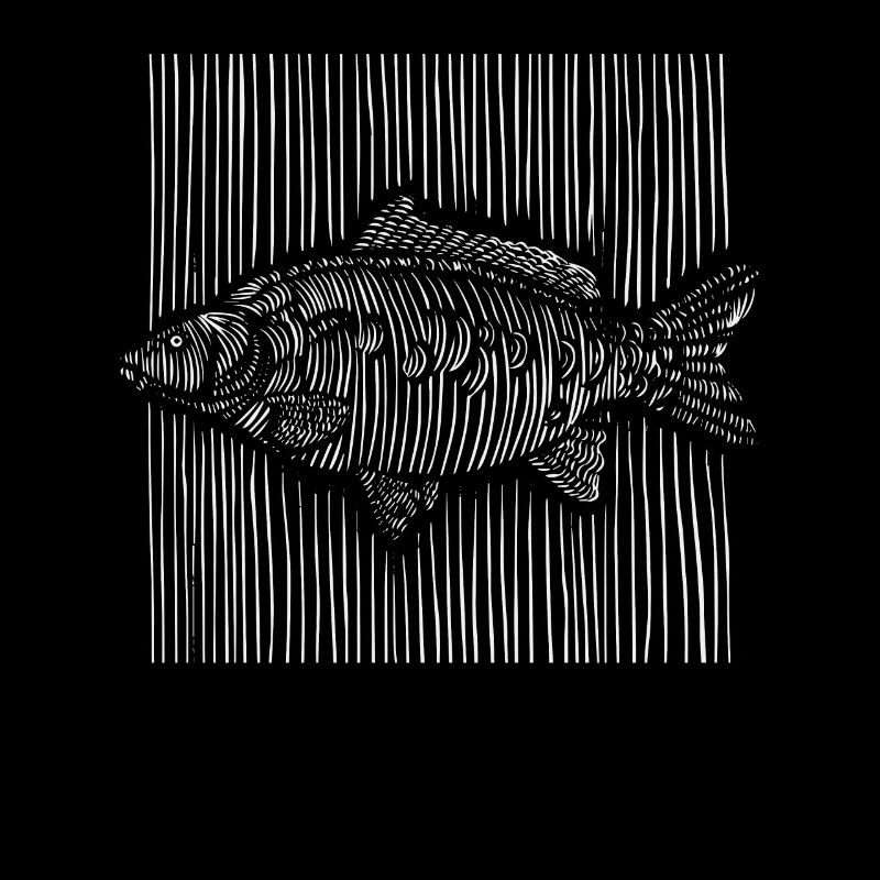 3D Lines Carp