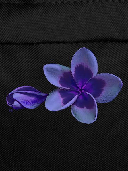 Black plumeria
