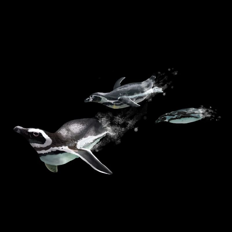 Three penguins