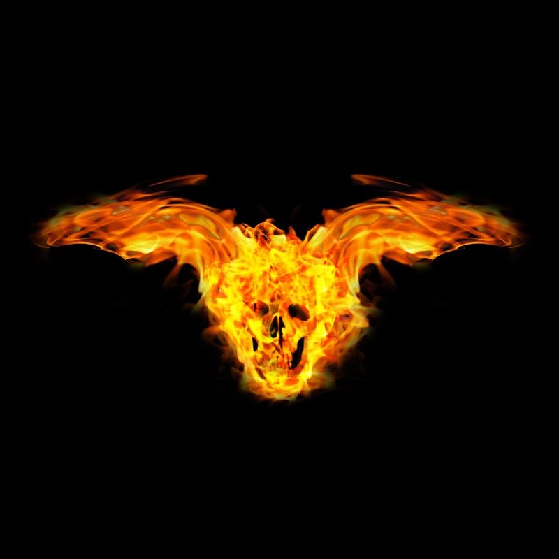 Fire skull