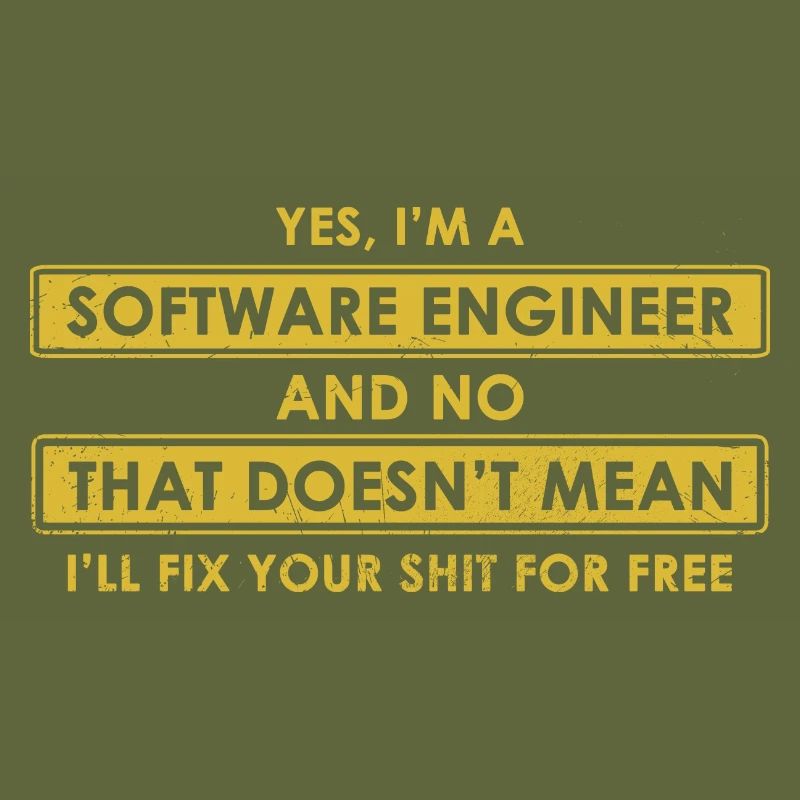 Software-Ingenieur