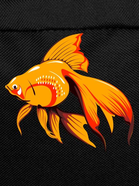 fish439