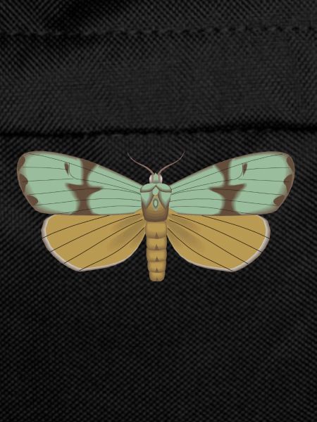 Papillon 115