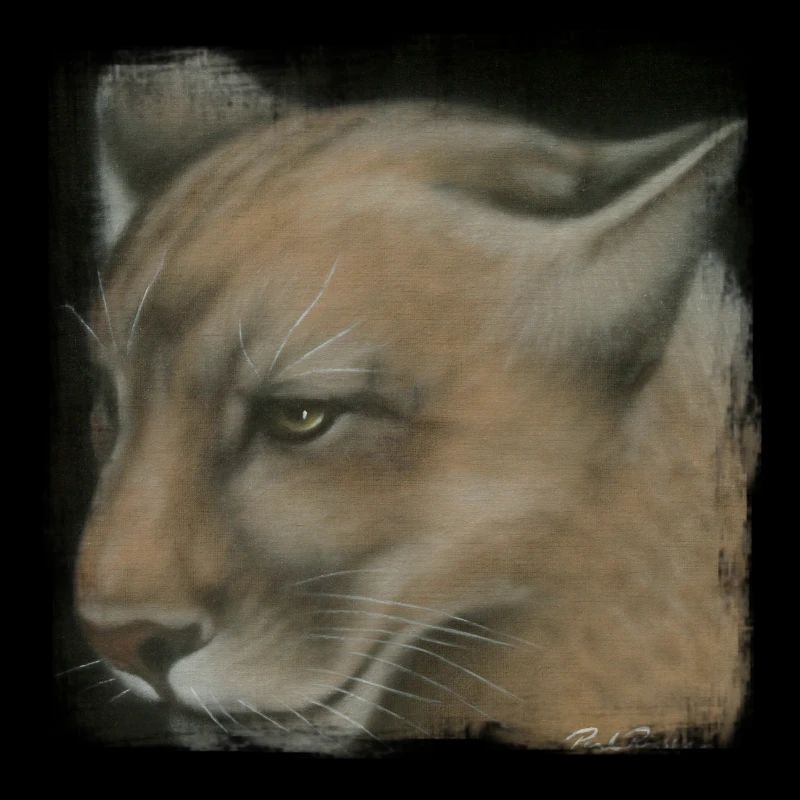 cougar