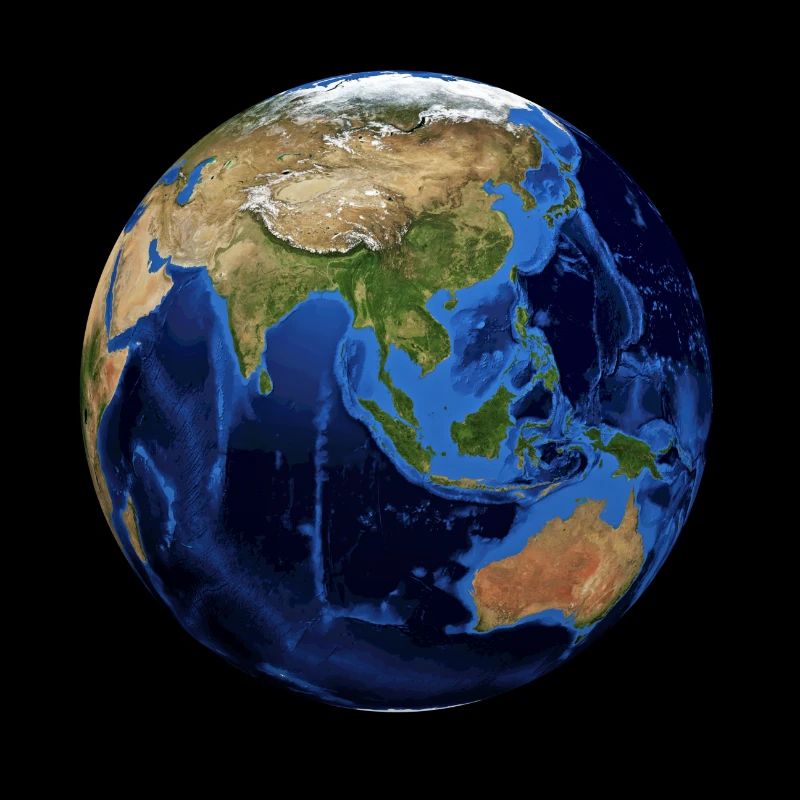 The globe