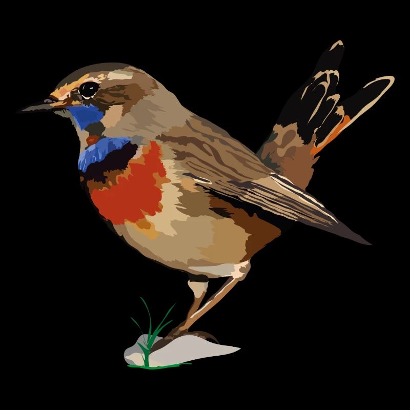 Blaukehlchen_Luscinia svecica