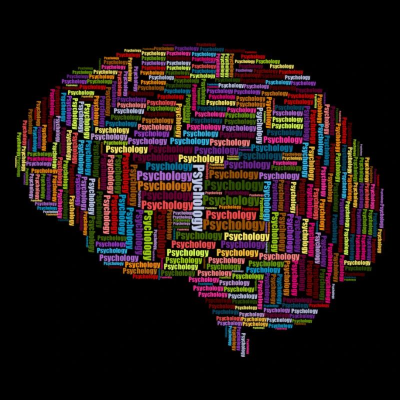 Brain Psychology