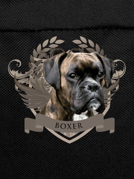 Boxer dog