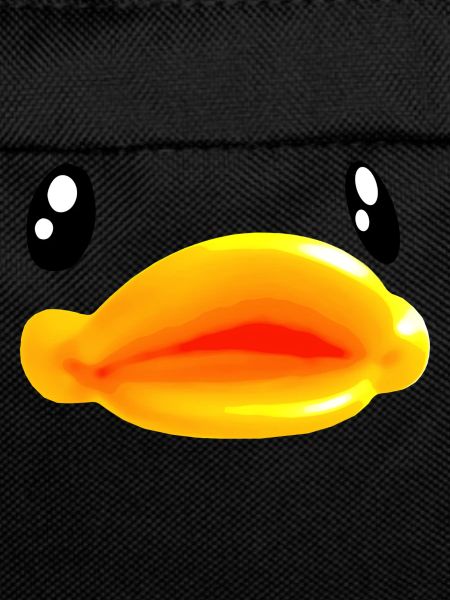 animal bird duck goose