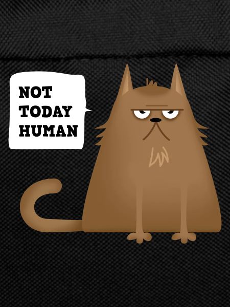 not today cat