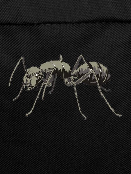 Aggro ant