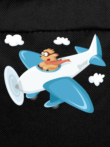 Boo und Flugzeug oo-Serie