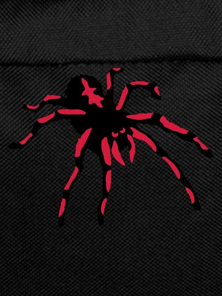 Tarantula Spider