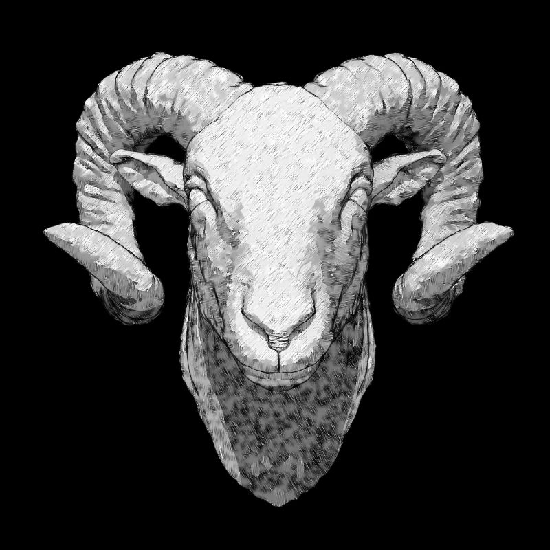 Ram in Hand-Drawn Pencil Optics