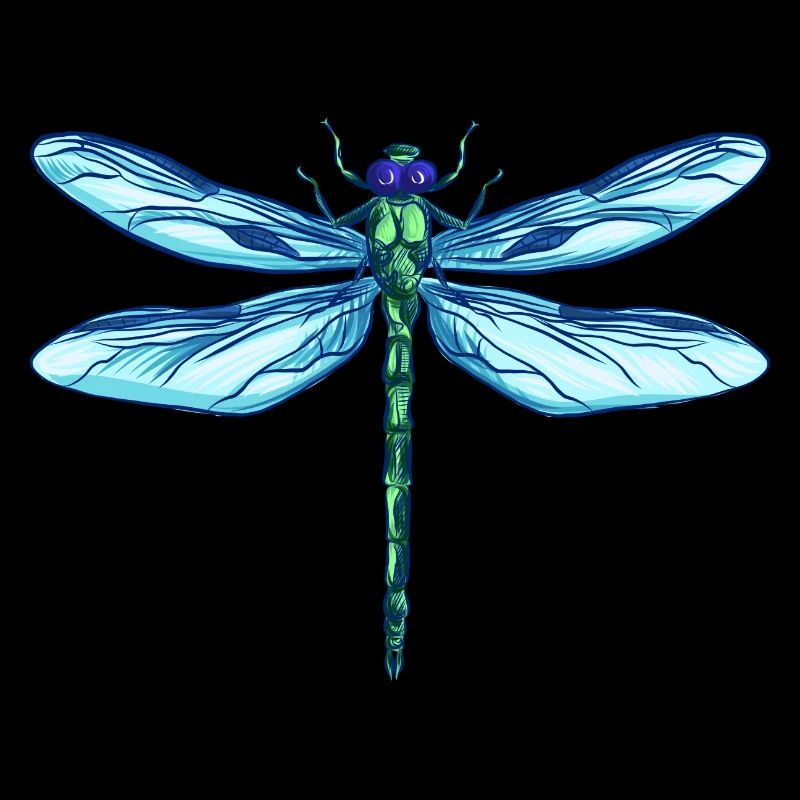 Dragonfly Libellule cadeau insecte coloré aile
