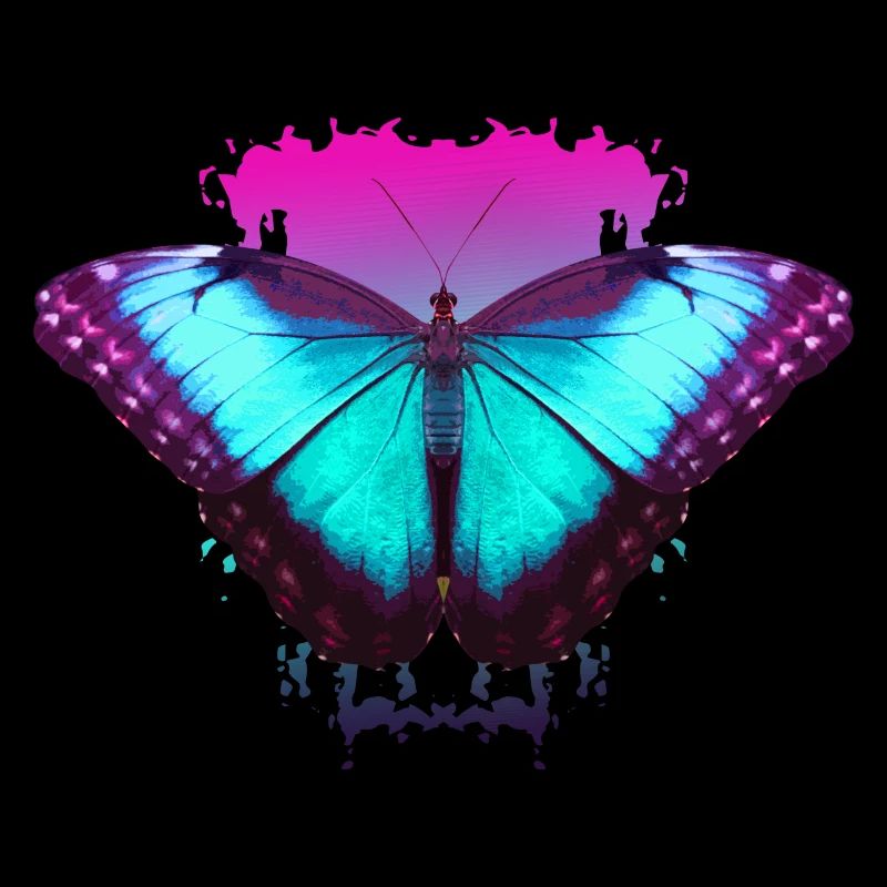 Butterfly Butterfly Gift