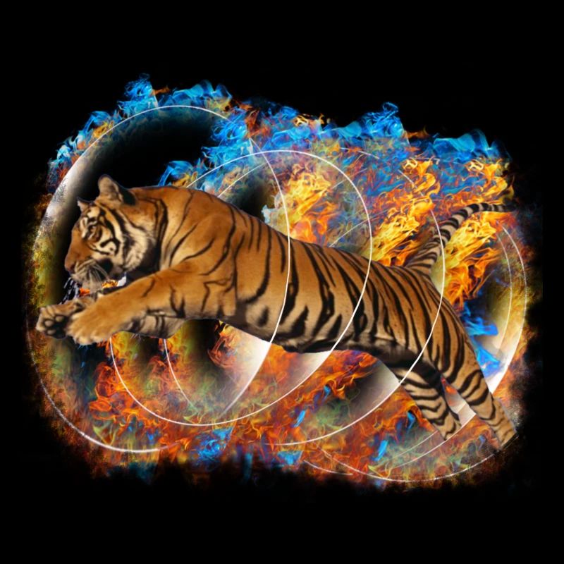 Tigr