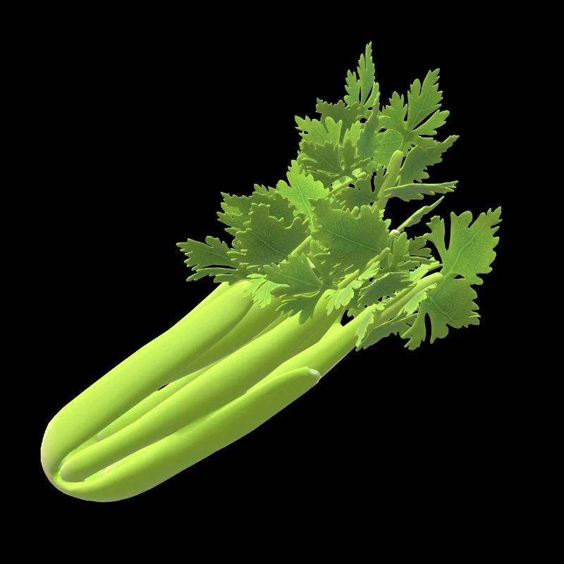 Le céleri les légumes sains