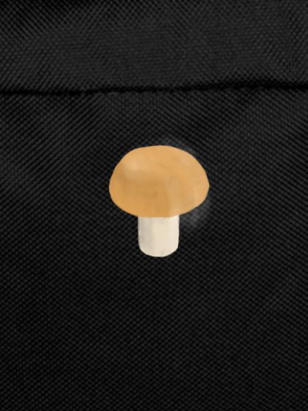 champignon