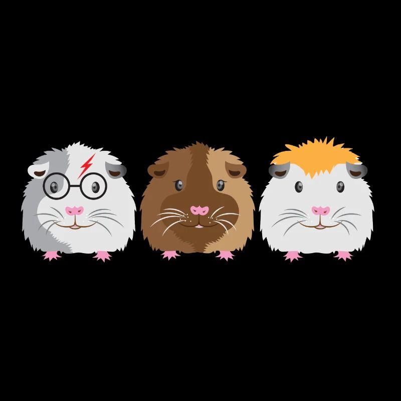 Trois petits cochons d'Inde