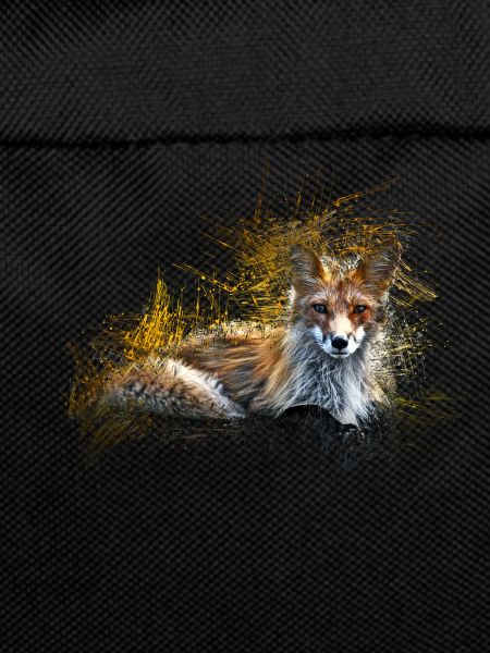 Renard