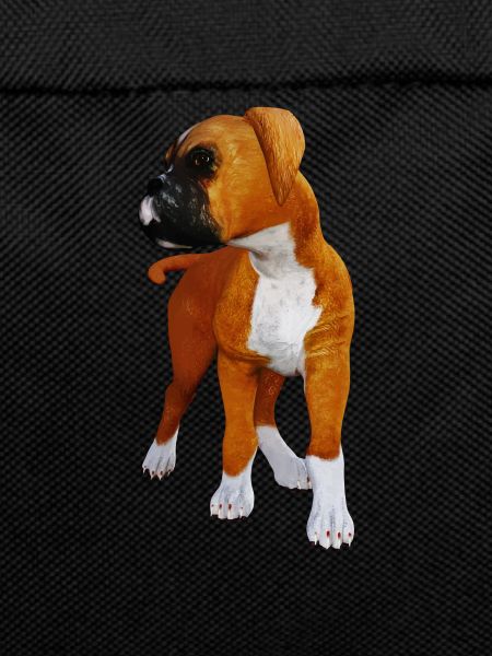 Dog boxer puppy