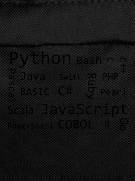Programmer