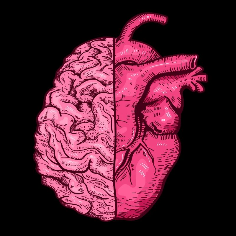 Heart vs. Brain head versus heart mind vs. heart
