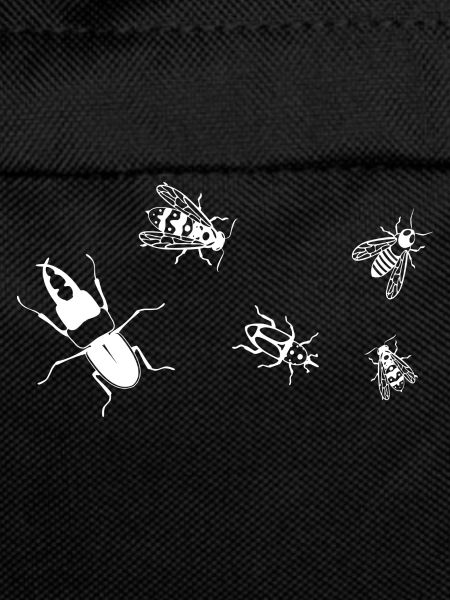Insectes