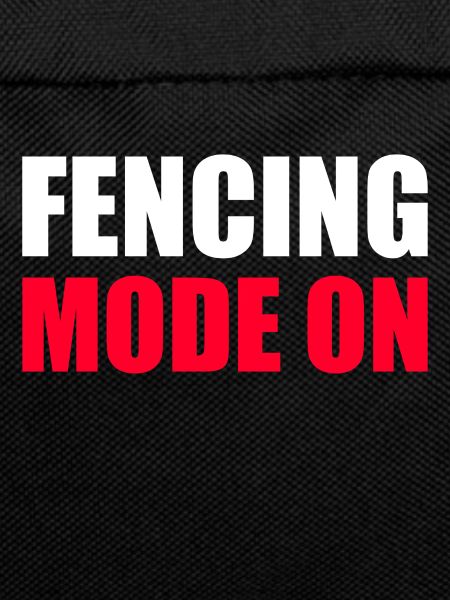 Fencing fencer