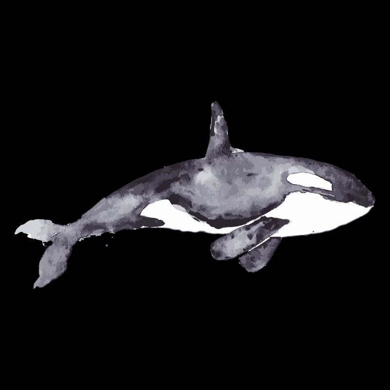 Orca