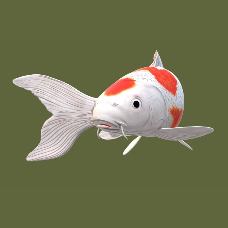 3D Koi