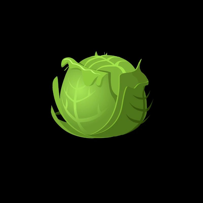 Cabbage