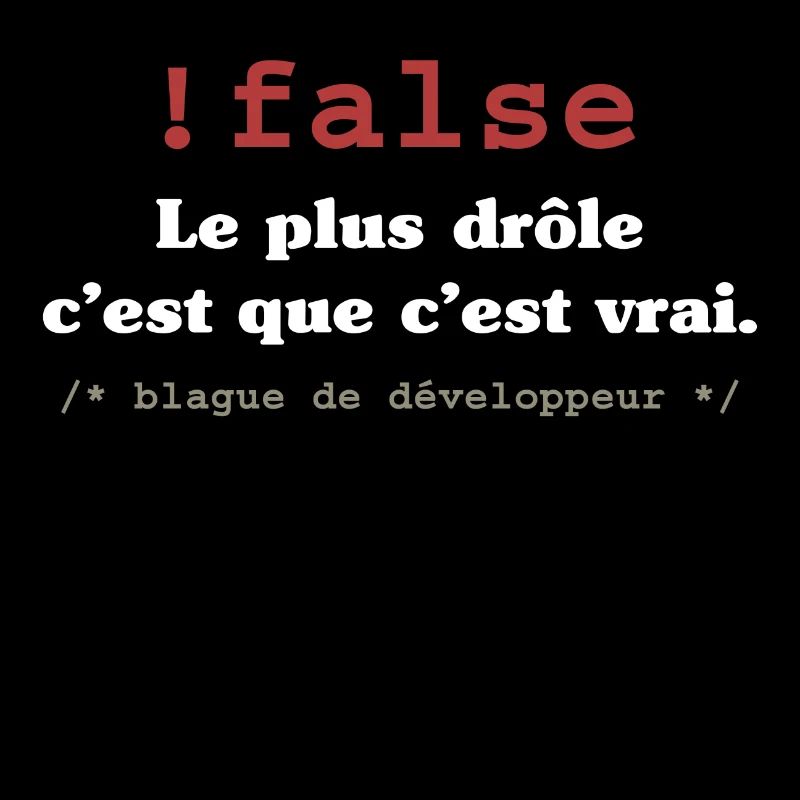 Blague programmeur développeur codeur informatique