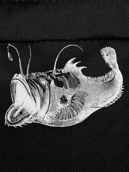 deep-sea fish white
