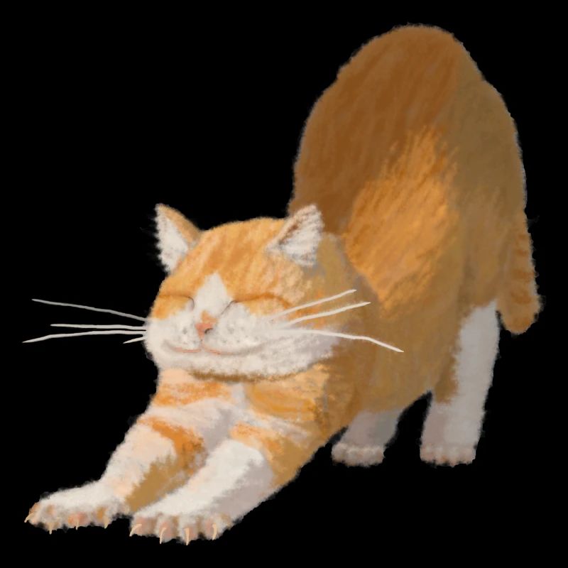 chat rouge